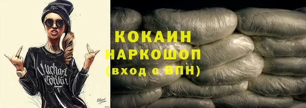 мдпв Бородино