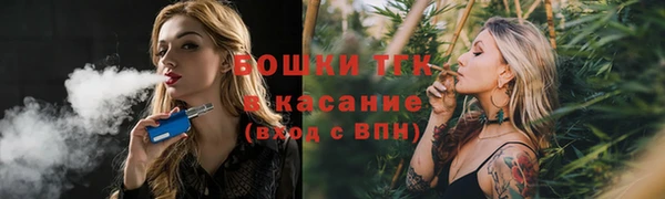 индика Богородицк