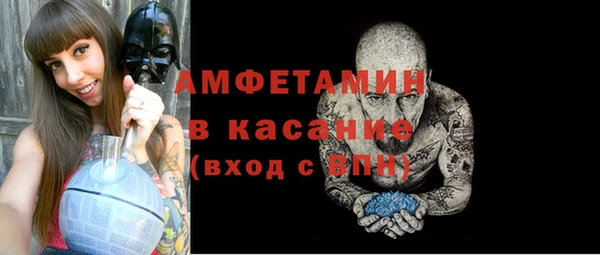 мдпв Бородино