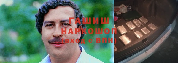 индика Богородицк