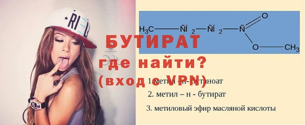 мдпв Бородино