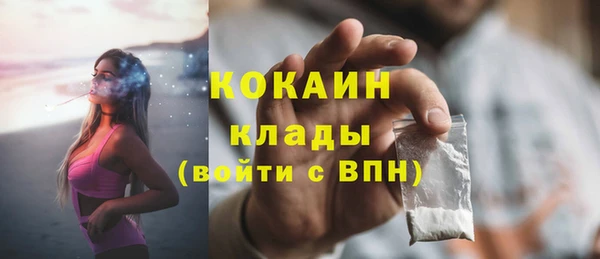 apvp Богородск