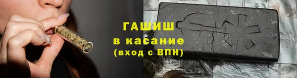 мдпв Бородино