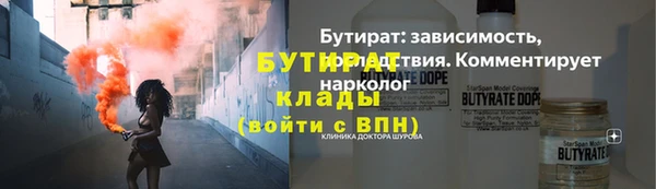 индика Богородицк