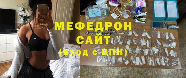 индика Богородицк