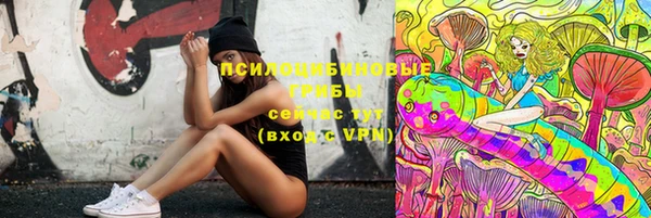 СК Богданович