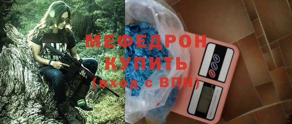 мдпв Бородино