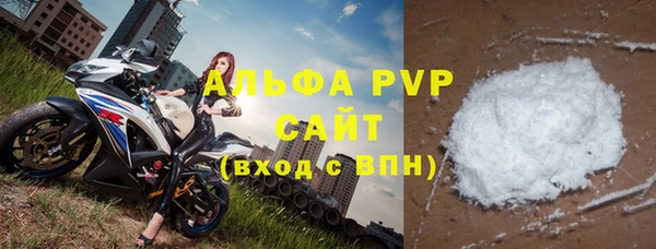 индика Богородицк