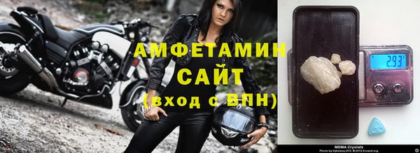 индика Богородицк