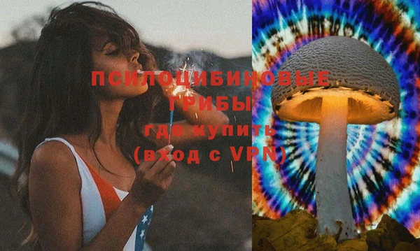 индика Богородицк
